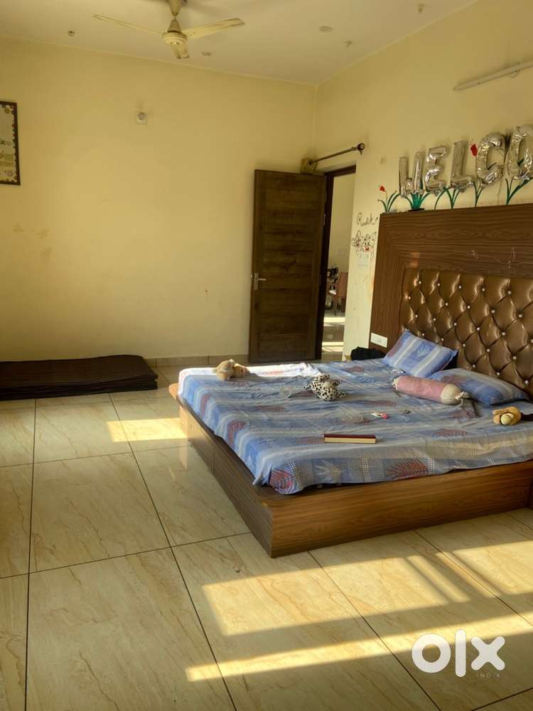 Family surrounding, near by medical collage , prade collage