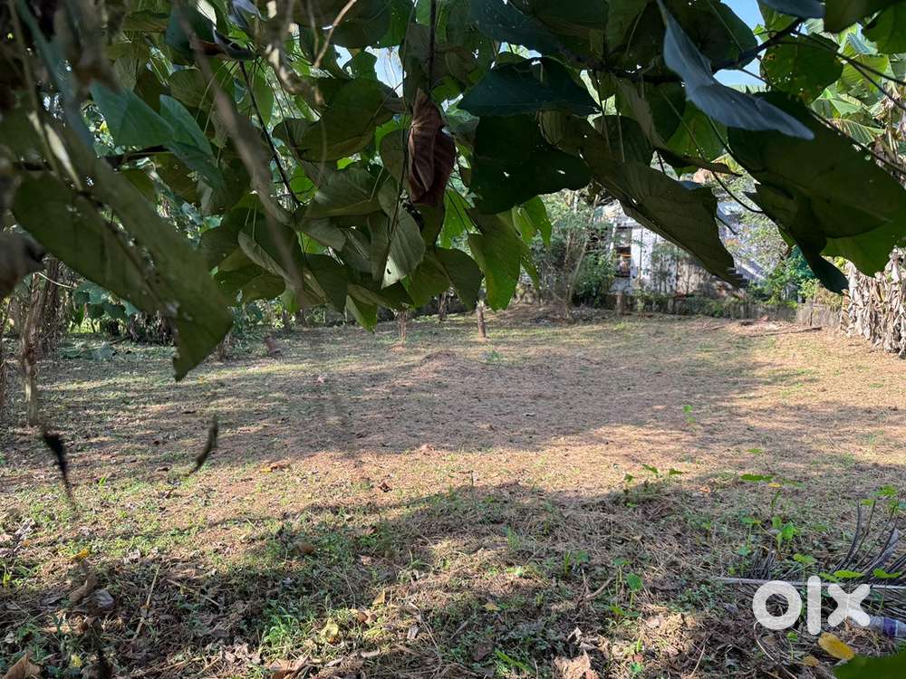 Prime Land for Sale on KK Road, Kottayam Rs 8,25,000/cent