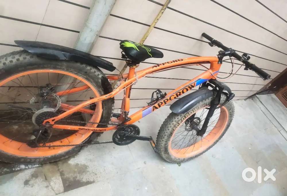Appgrow fat tyre bicycle