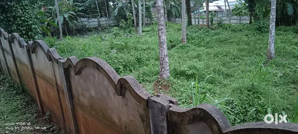 House plot near Vengeri bypass 15 cents Nissan site