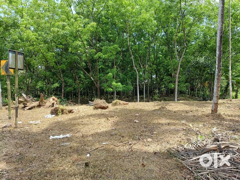 56 സെന്റ് സ്‌ക്വയർ പ്ലോട്ട് വില്പനയ്ക്ക്