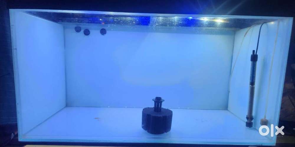 Fish Tank 3 feet