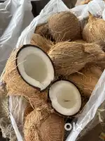 नारियल (coconut)