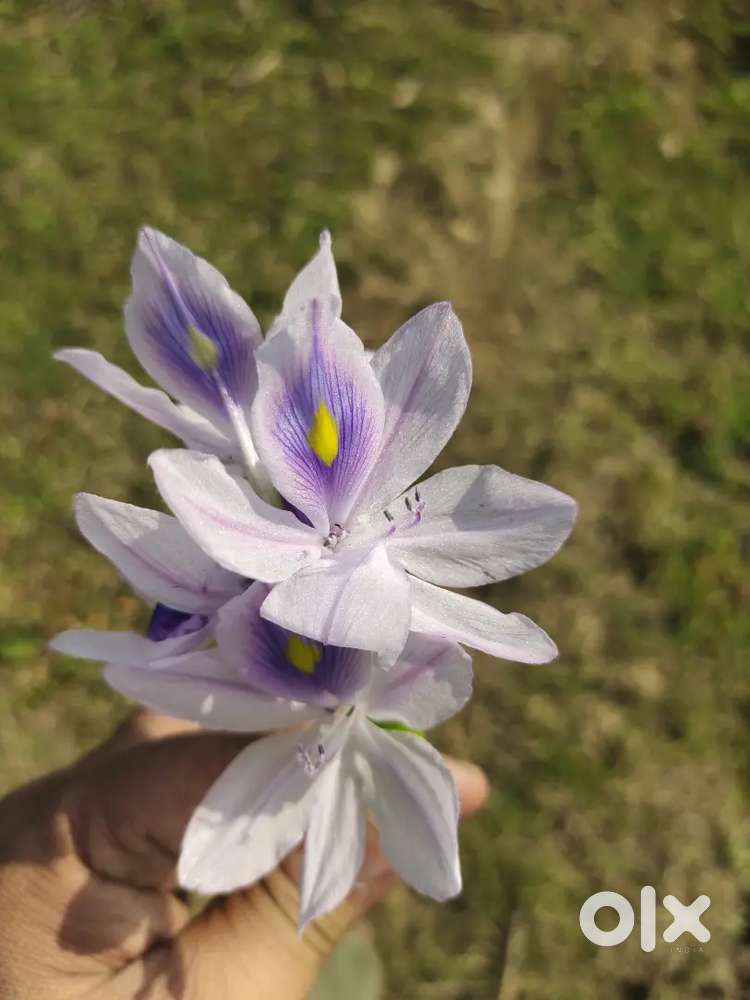 *Required IO _FI work for this location* _AP and Telangana