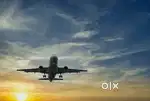 Indigo Airlines jobs /Vacancy for Airport Ground staf / Driver / Crew