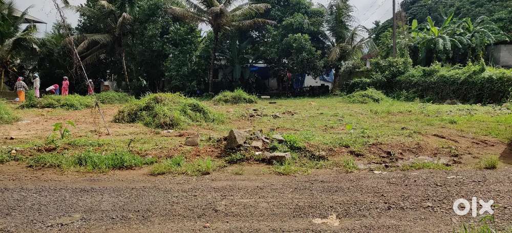 14 cents House plot in Kalamassery Near Nuals and Thevakkal