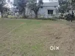224 gaj plot in rajawala near Indian public school