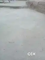 3 bigha khet for sell