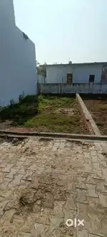 100 gaj plot...
