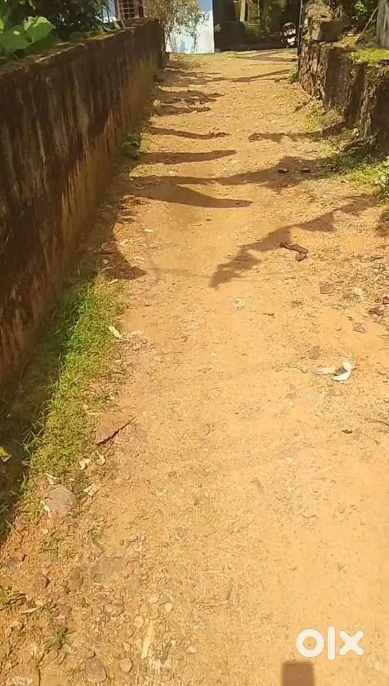 9സെന്റ് സ്ഥലം വിൽപ്പനയ്ക്ക് അയർക്കുന്നം ഡൗൺ ൽ നിന്നും ഒരു കി.മി ദുരം