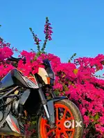 Duke 125 BS4