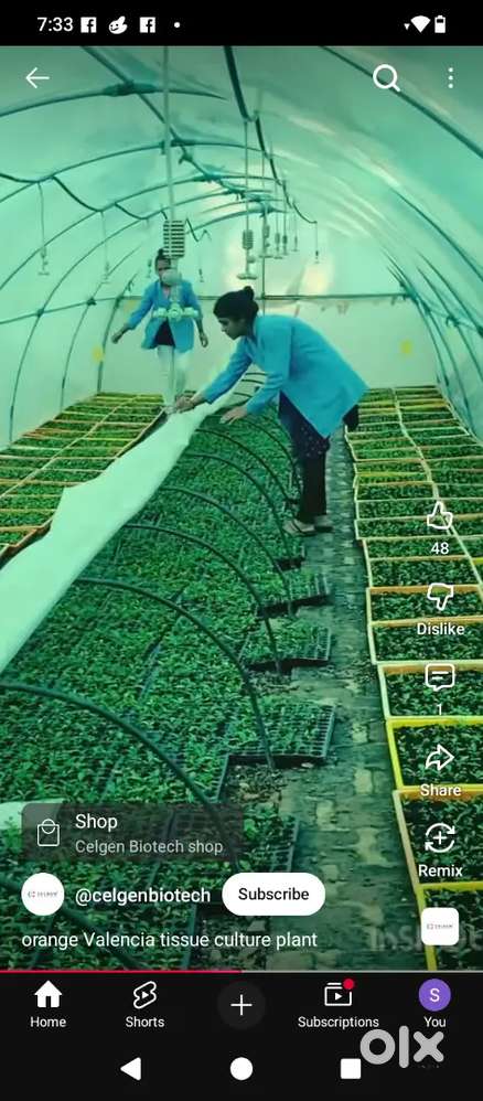 Plants Tissue culture assistant