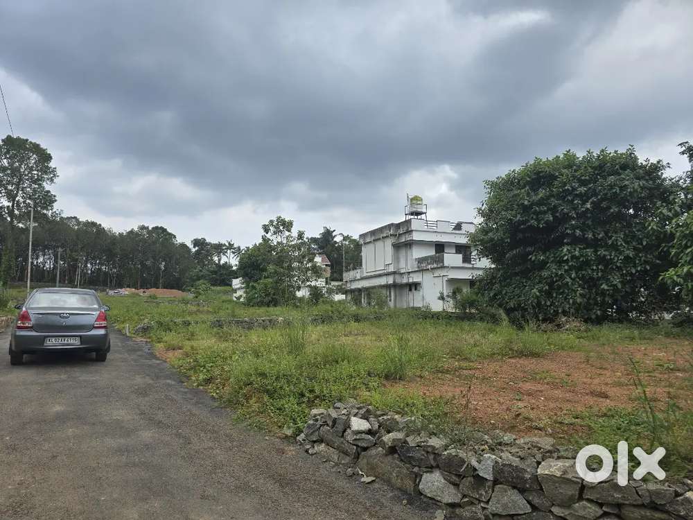 ഹൗസ് പ്ലോട്ടുകൾ വിൽപ്പനയ്ക്ക്. ചങ്ങനാശ്ശേരി തൃക്കൊടിത്താനം വില്ലേജിൽ