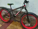 Fat bike cycle