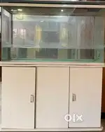 Fish Tank.