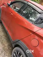 Owner driven lady owner