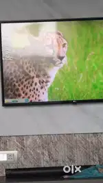 Lg43 lk57series