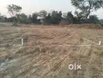 Potapali 7 DCML General plot sale investment land