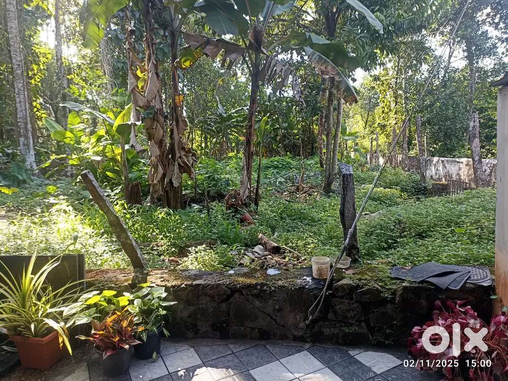 Plot for sale at Nellad