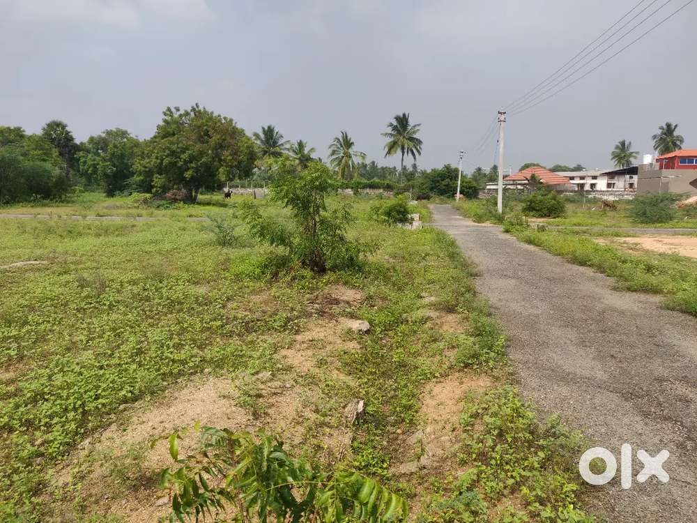 Land for sale