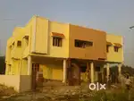 Honey bees Apartment