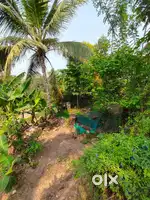 6.5 Goodhouse and plot good water , emergency selling,fund negotiable