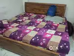 Need Roommate ( Boys)