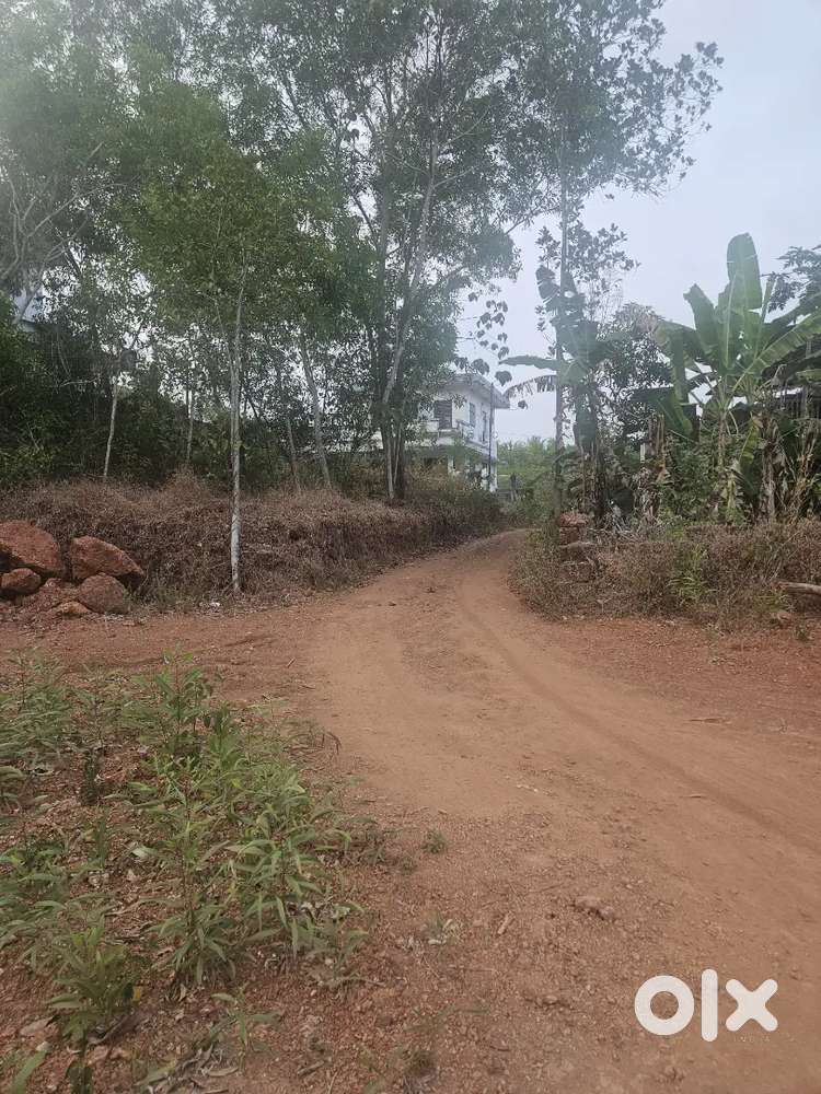 10 cent Housing Plot For sale at Aduthila Payagadi
