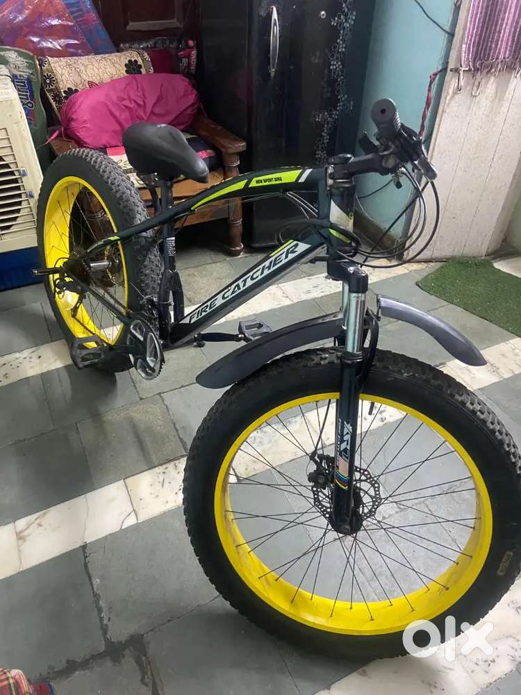 Fat tyre cycle