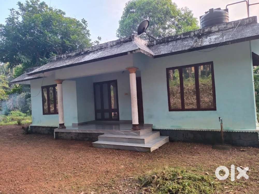 House and plot for sale