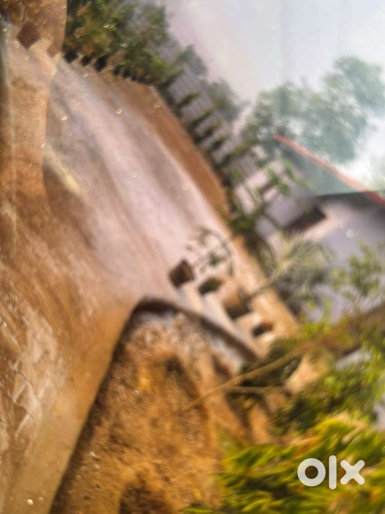 Half acre farm house sohna Gurgaon