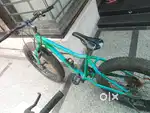 Raleigh Big Sam fat cycle