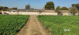 Poultry farm for Rent