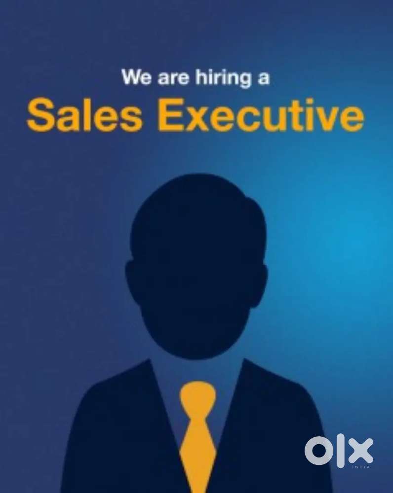 Sales Executive