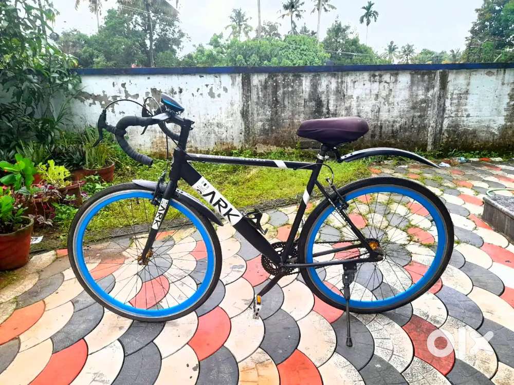 Bike Ark sports cycle on road