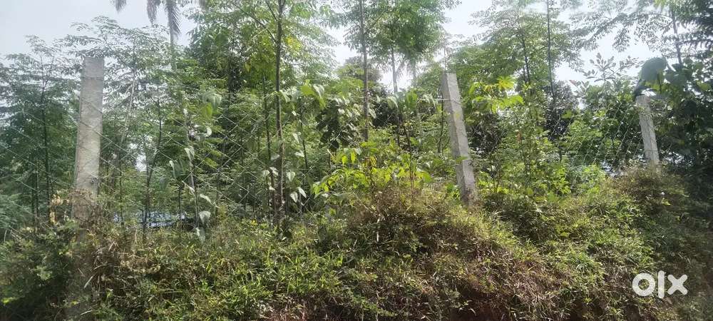 വസ്തുവിൽപ്പനയ്ക്ക്