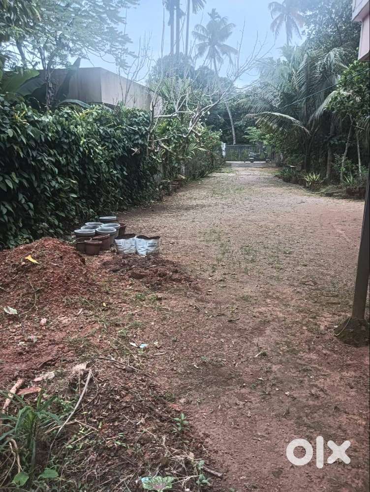 Plot- Varapuzha-12 cents