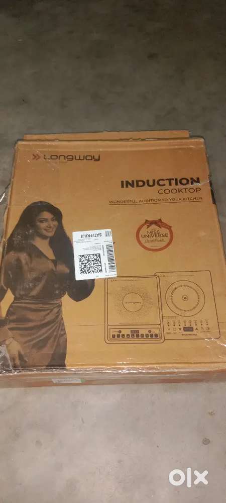 Induction cook Stov