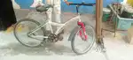 My cycle is my life and my favorite