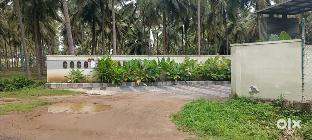 Coconut farmland sale in coimbatore