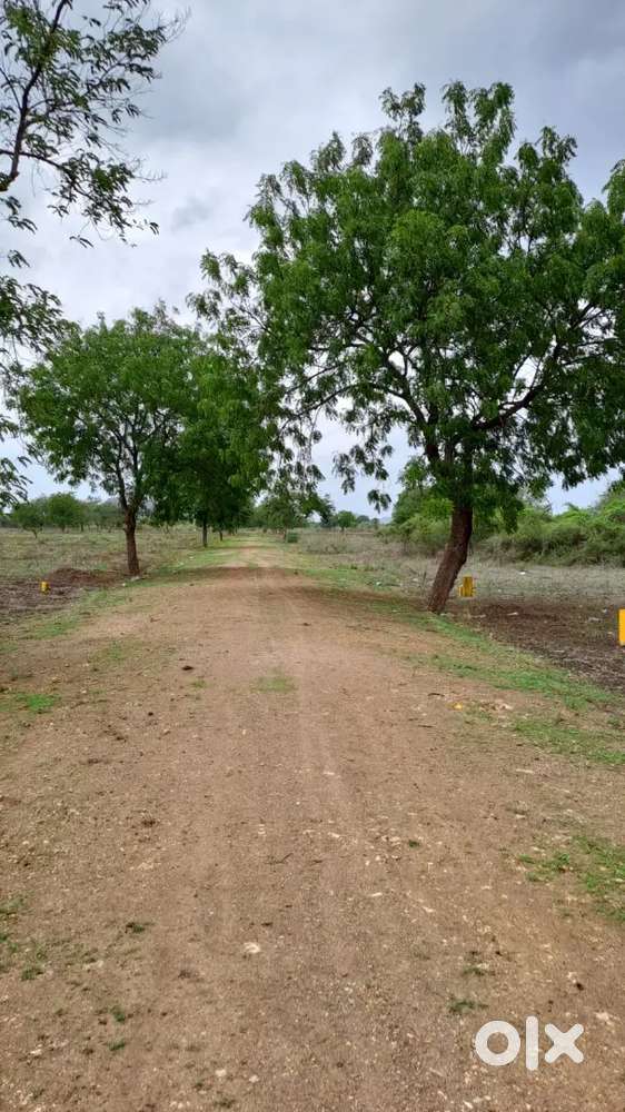 209 Sq yards plot for sale