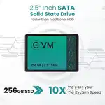 256 GB VM SATA SSD