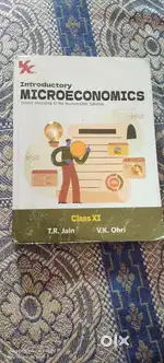 Class 11 economics vk ohri new addition