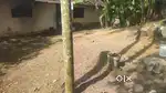 8 CENT PLOT FOR SALE KACHANI