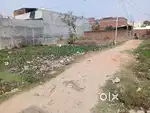 Abdul purwa phini roed