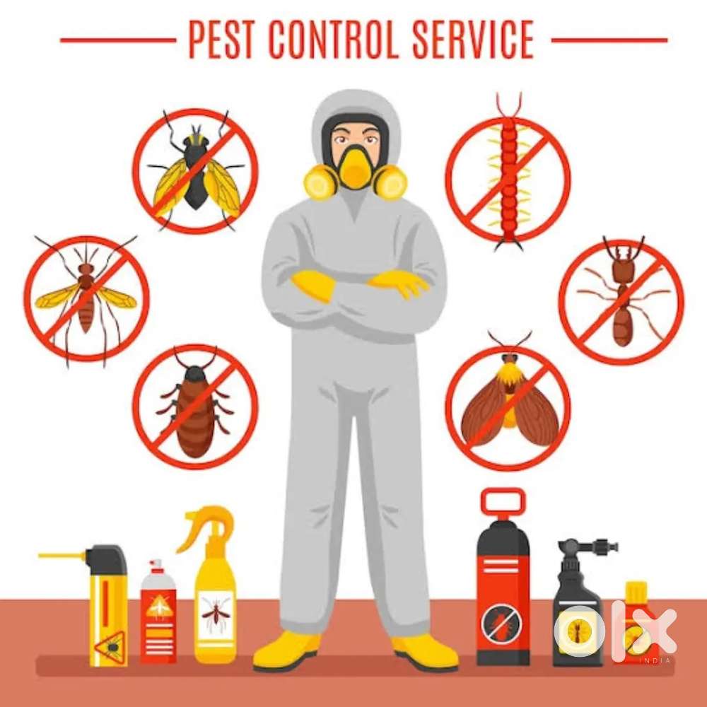 Best Pest Control for Home, Shop & Office