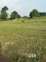 For line chandigarh expressway
