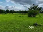 82 Guntha Agricultural land for sale