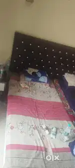 Need a girl roommate for room sharing