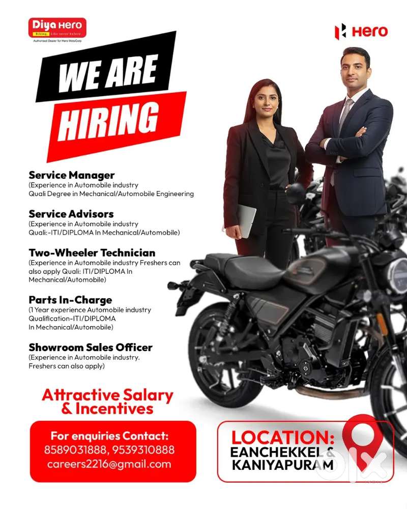 Sales Executive ( Male)